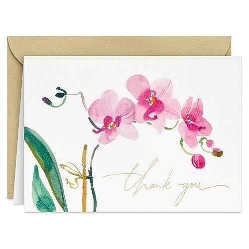 Hallmark Pink Orchid Thank You Notes (20 Blank Cards with Envelopes) for Bridal Shower, Baby Shower, Wedding, Birthday