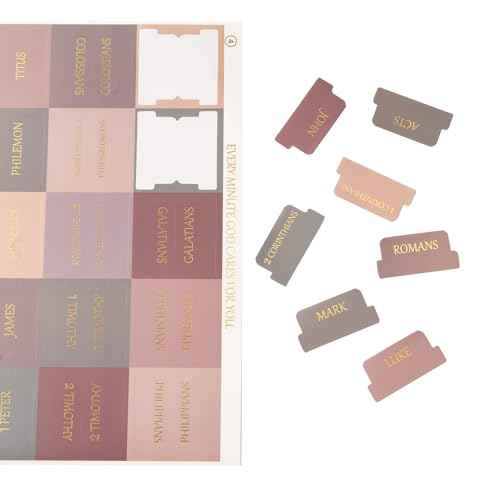 Lumintutu Laminated Bible Tabs, Gold Foil Large Print Lettering, 90 Tabs Bible Study Journaling Supplies, Christian Gift for Women and Men, She Reads Truth Bible (Dusty Rose)