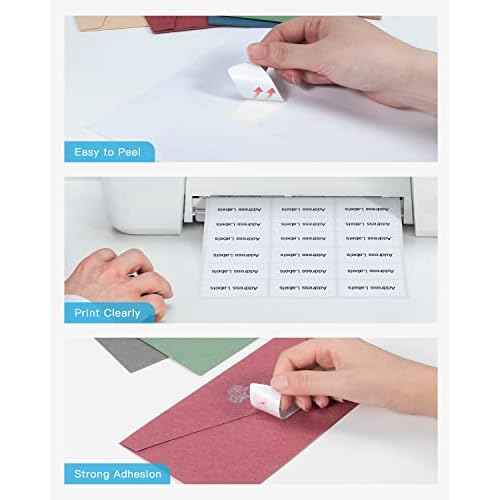 Shipping Address Labels, 2" x 4" Address Labels for Laser & Inkjet Printers, Mailing Labels for 5163, 8163, 5263, Strong Adhesive for FBA Label, Easy to Peel (100 Sheets, 1000 Labels)