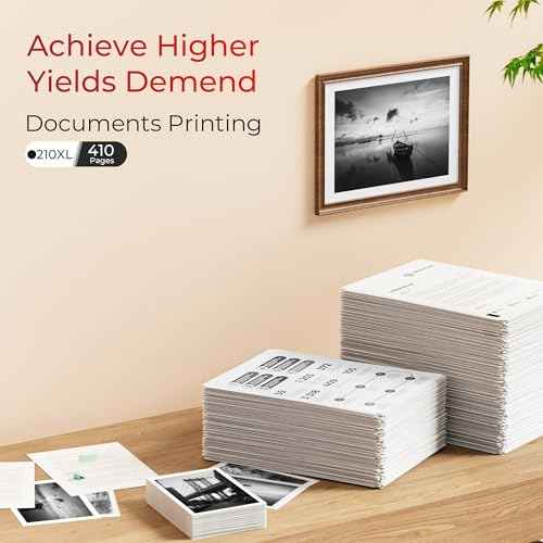 210XL Black Ink Cartridge Remanufactured Replacement for Canon 210XL Black Ink Cartridge 210 XL for Canon PIXMA IP2702 IP2702 MP230 MP250 MP270 MP280 MP480 MP490 MP495 MX320 MX330 MX340 MX410(2 Pack)