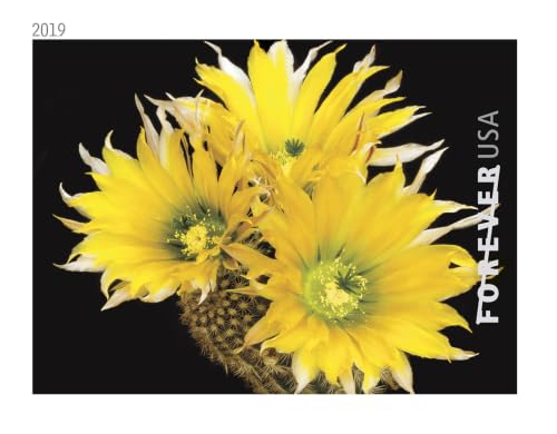USPS Forever First Class Postage Stamps - Cactus Flower Collection, 20 Booklets (100 Stamps)