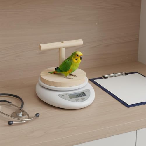 Digital Bird Weighing Scale with Perch - Accurate Pet Parrot Scale