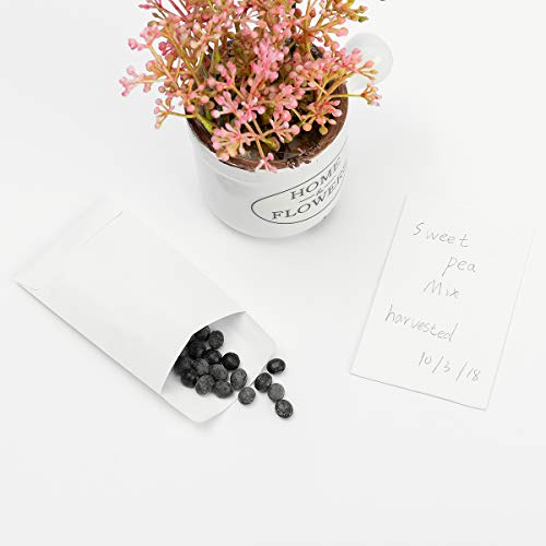 White Small Coin Envelopes 2.25x3.5 Inch - Self-Adhesive Kraft Paper Pack of 100