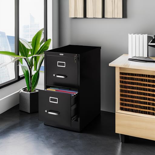 Staples 2-Drawer Vertical File Cabinet, Letter Size, Lockable, Black, 22" D