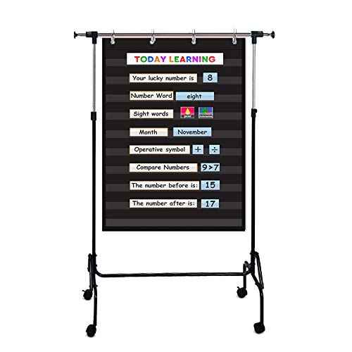 Standard Pocket Chart Clear 10 Pockets Chart for Classroom & Home Heavy Duty Hanging Pocket Chart for Word Wall/Letter Cards/Sentence Strips,28Wx43L,Black