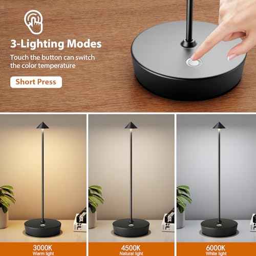 Rechargeable Cordless Table Lamp, Portable Powered LED Battery 6000mAh Metal USB Desk Lamp, 3 Levels Brightness Light for Restaurants Outdoor (Black)