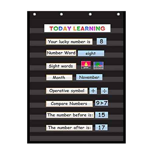 Standard Pocket Chart Clear 10 Pockets Chart for Classroom & Home Heavy Duty Hanging Pocket Chart for Word Wall/Letter Cards/Sentence Strips,28Wx43L,Black