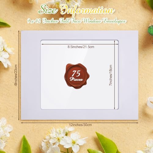 Fainne Full Face Window Envelopes for Photos & Documents 9x12 Inch - Pack of 75