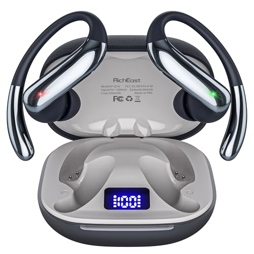 RichEast Black AI Translation Earbuds 50H Playtime Real-Time Translator for Travel & Business
