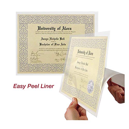 EnvyPak Full Page Pocket/Holder, Peel and Stick Adhesive, Top Loading, Clear, Holds 8.5¡± x 11¡± Sheet - Pack of 50
