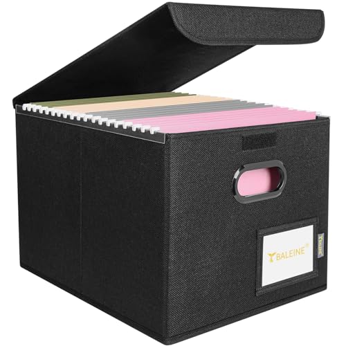 BALEINE Collapsible File Organizer Box with Lid - Black, 1 Pack, 15x12.5x10.5 Inches