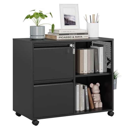 MIIIKO Metal 2-Drawer Lockable File Cabinet with Locking Drawers and Mobile Casters