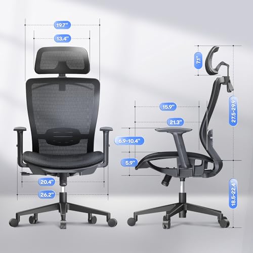 FLEXISPOT OC3 Ergonomic Office Chair with High Back Mesh, Black – 23" Depth, Single Lumbar