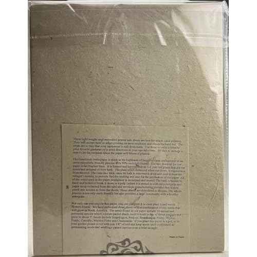 Of The Earth Recycled Lotka Printer Paper Embedded with Wildflower Seed - 8.5" x 11" (2 Pack- 50 Sheets of Paper Total)