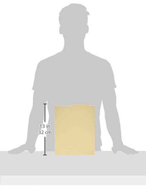 Pendaflex Manila End tab Folder, 4-Inch Lower Tab Position, 100 Per Box (H114D)