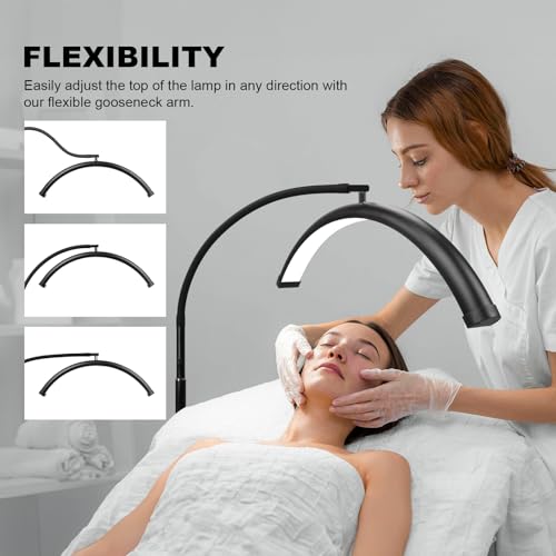 Half Moon LED Floor Lamp - Professional 19-inch Shadow-Free Light for Lash Techs, Estheticians & Tattoo Artists | Dimmable for Eyelash Extensions, Nail Art, Home & Office