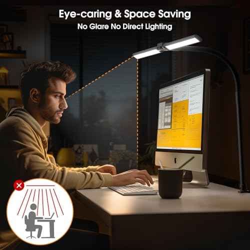 LED Desk Lamp for Home Office - Eye-Caring Computer Desk Light with Clamp, Rotatable Computer Lighting with Color Changing, Dimmable Monitor Table Lamp with Gooseneck, Double Head, Black