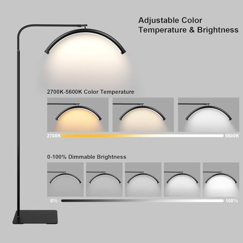 Half Moon LED Floor Lamp - Professional 19-inch Shadow-Free Light for Lash Techs, Estheticians & Tattoo Artists | Dimmable for Eyelash Extensions, Nail Art, Home & Office