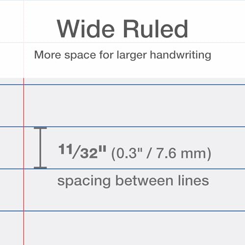 Oxford Reinforced Lined Loose Leaf Notebook Paper College Rule 100 Sheets