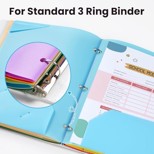 Pink 2-Pocket Plastic Folder with 3-Hole Punch, Sturdy Document Organizer