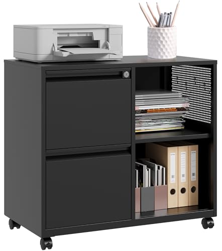 SISESOL Black 2-Drawer Metal File Cabinet with Lock & Shelves, Mobile Office Organizer, Fits Legal/Letter/A4 Sizes