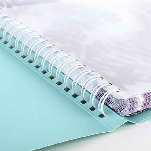 AT-A-GLANCE 2026 Appointment Book Planner, Weekly & Monthly, 8.5" x 11", Hourly, Large, Wild Washes, Teal (523-905-26)
