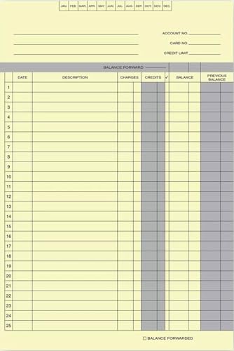 Accounts Receivable Ledgers - 11 x 7 3/8 Ledger Sheets (100 sheets) EGPChecks