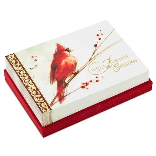 Hallmark Boxed Christmas Cards, Painted Cardinal (40 Cards and 40 Envelopes) Beautiful Christmas
