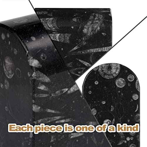 Koville Moroccan Natural Marble Bookends for Shelves, Non-Slip Book Ends, 13LBS Ultra Heavy Duty Marble Book Holders Organizer, Apartment Decor for Movies/CDs/Video Games(Fossil)