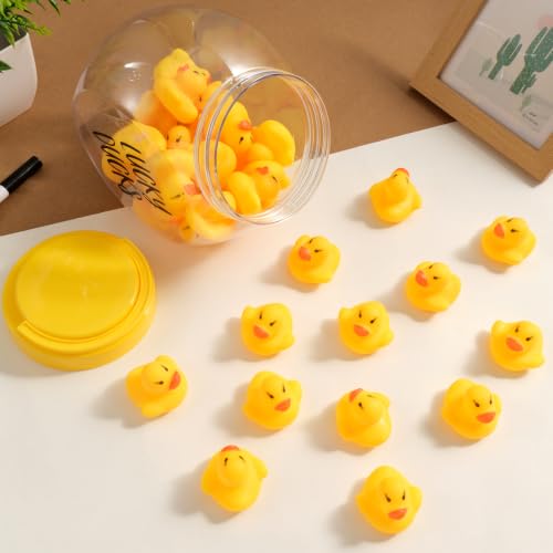Classroom Lucky Ducks Set with Jar, Pen & Labels - Teacher Management Tool