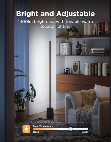 Black Govee Smart RGBIC Floor Lamp 3 Lite Corner Lamp for Living Room