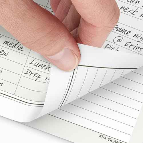AT-A-GLANCE 2026 Planner, Daily, 5-1/2" x 8-1/2", Desk Size 4, Two Page Per Day Refill, Loose-Leaf (481-225-26)