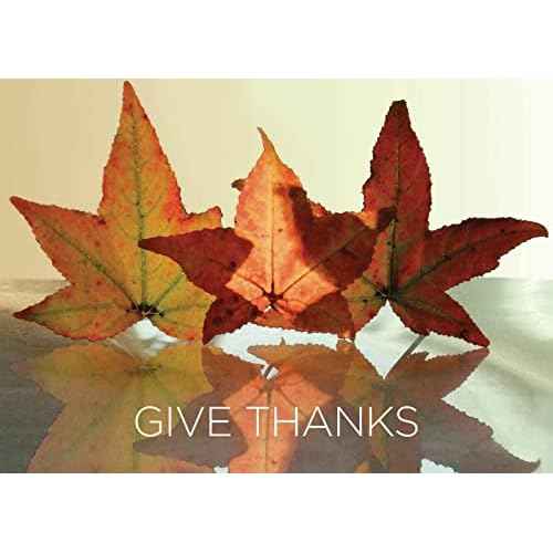 Thanksgiving Cards for Business & Family (Give Thanks) Greeting Card Set Pack of 25 Thanksgiving Cards with Envelopes (5x7 inch - A7) Great for Office, Work, Employees & Clients TH1502