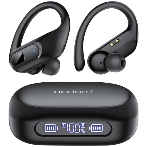 AI Translation Earbuds Real Time, 164 Language Translator Earbuds, 96H Playtime Translation Headphones, Noise Canceling, Audifonos Traductores Ingl?s Espa?ol for Business Meeting Travel Learning
