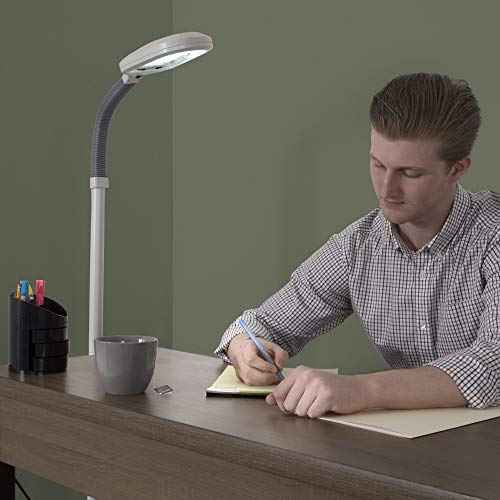 Adjustable Floor Lamp - Full Spectrum Natural Sunlight Lamp with Bendable Neck - Reading, Crafting, Esthetician Floor Light by Lavish Home (Beige)