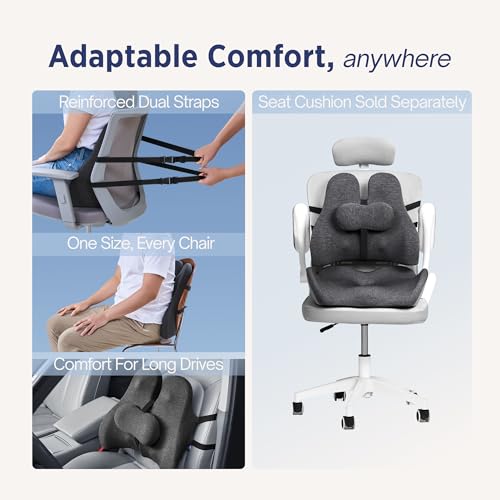 Lumbar Support Pillow for Office Chair - Lower Back Pain Relief Cushion with Adjustable SpineAlign¢â Bolster, Memory Foam Pillow for Car, Couch, Gaming Seats - Dual Straps, Dark Grey