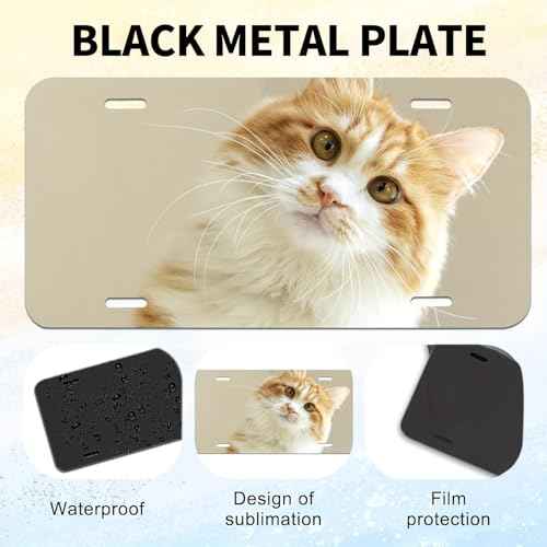 20 Pack 0.45mm Blank Metal Aluminum Plates Tag