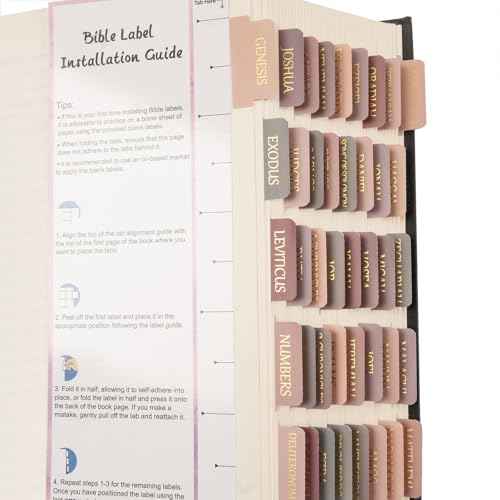 Lumintutu Laminated Bible Tabs, Gold Foil Large Print Lettering, 90 Tabs Bible Study Journaling Supplies, Christian Gift for Women and Men, She Reads Truth Bible (Dusty Rose)