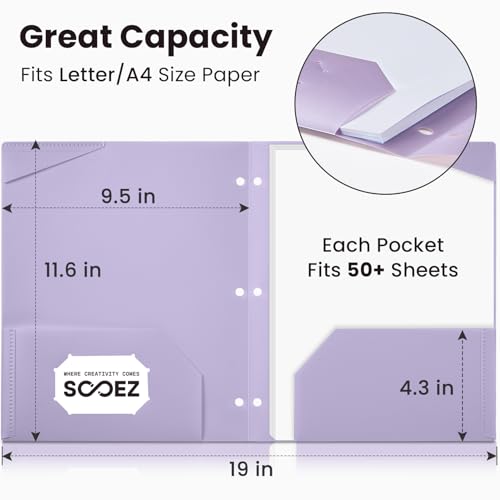 Pink 2-Pocket Plastic Folder with 3-Hole Punch, Sturdy Document Organizer