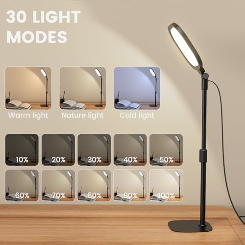 Video Conference Lighting for Zoom Meeting, Ring Light for Desk with Flexible Stand, 30 Light Modes Desk Lamps for Home Office, Desk Light & Memory Function for Zoom Lighting, Video Streaming, Drawing