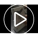 RKXKJ Black Galton Board Probability Demonstrator Desk Toy - Bell Curve Lab Tool