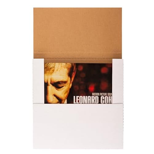 LP Mailers, 12.8"L x 12.8"W x 1"D Corrugated Vinyl Records Shipping Boxes for Mailing Packaging Moving Storage, with Fragile Stickers, White, 25 Pack