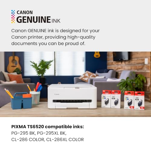 Canon PIXMA TS6520 Wireless Color Inkjet Printer with Duplex Printing & OLED Display