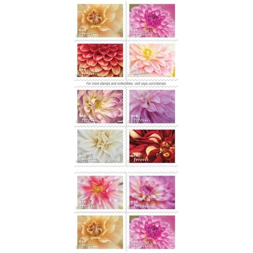 Dahlias 2025 (Book of 20) First-Class Mail Forever Postage Stamps