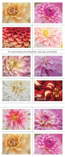 20 First-Class Mail Forever Postage Stamps - Dahlias Flower Design