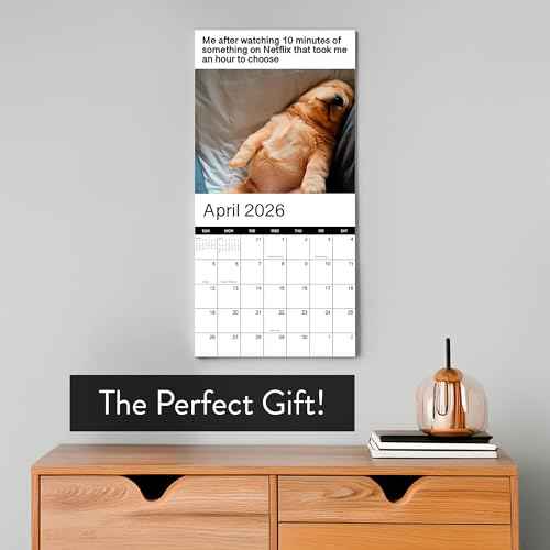 2026 Memes Wall Calendar | 12 Months of Hillarious Memes/Jokes to Keep You Laughing All Year, Funny White Elephant Gift For Him or Her, Give Them Something That Will Make Them Smile