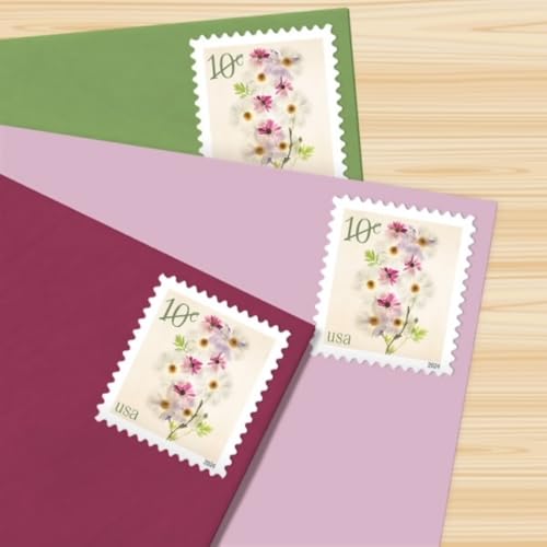 US Postal Service Poppies and Coneflowers 2024 10-Cent Definitive Postage Stamps - 20 Sheets