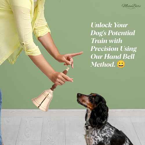 Premium Solid Brass Service Bell Large Handheld Loud Call Bell for Church School Restaurant Hotel Events Holidays Brass Finish 1 Piece 9 Inch by 4 Inch