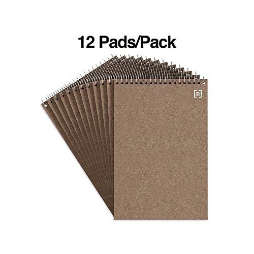 STAPLES TRU RED Steno Notepads, 6 x 9 Inch, Gregg Ruled, Top Wire-Bound Notebooks, Cardstock Cover, 80-Sheets, 12-Pack, White Paper