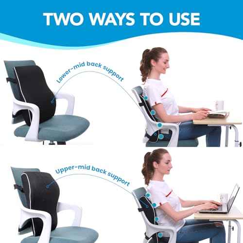 Lumbar Support Pillow for Office Chair, Office Home Essentials,Stocking Stuffers,Back Support Pillow for Car, Chair Cushions,Back Pain Relief Improve Posture,Mesh Cover Double Adjustable Straps